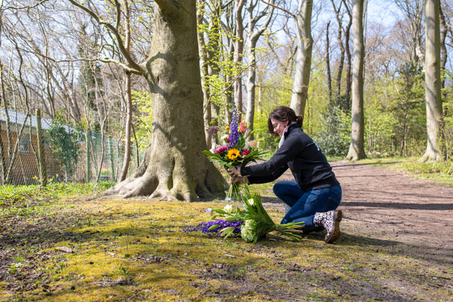 Sympathie Plukboeket